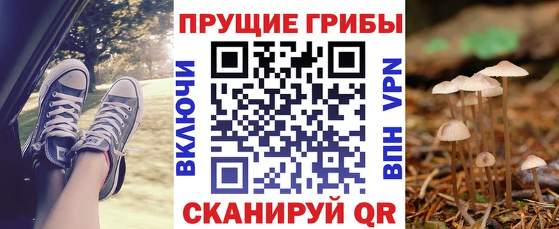 Галлюциногенные грибы Magic Shrooms  закладка  Порхов 